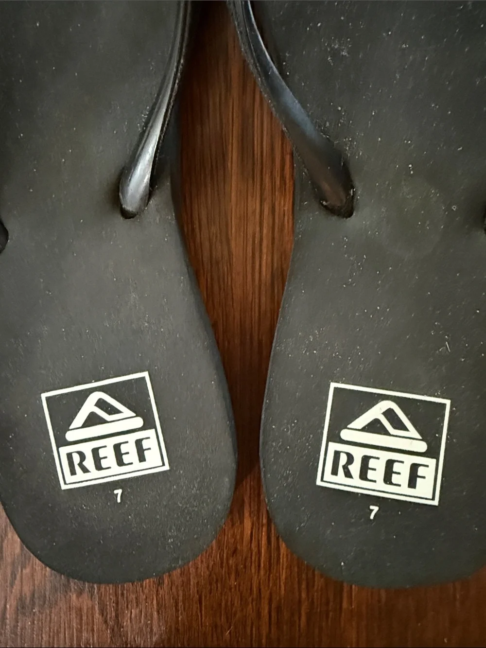 Like New Reef Stargazer